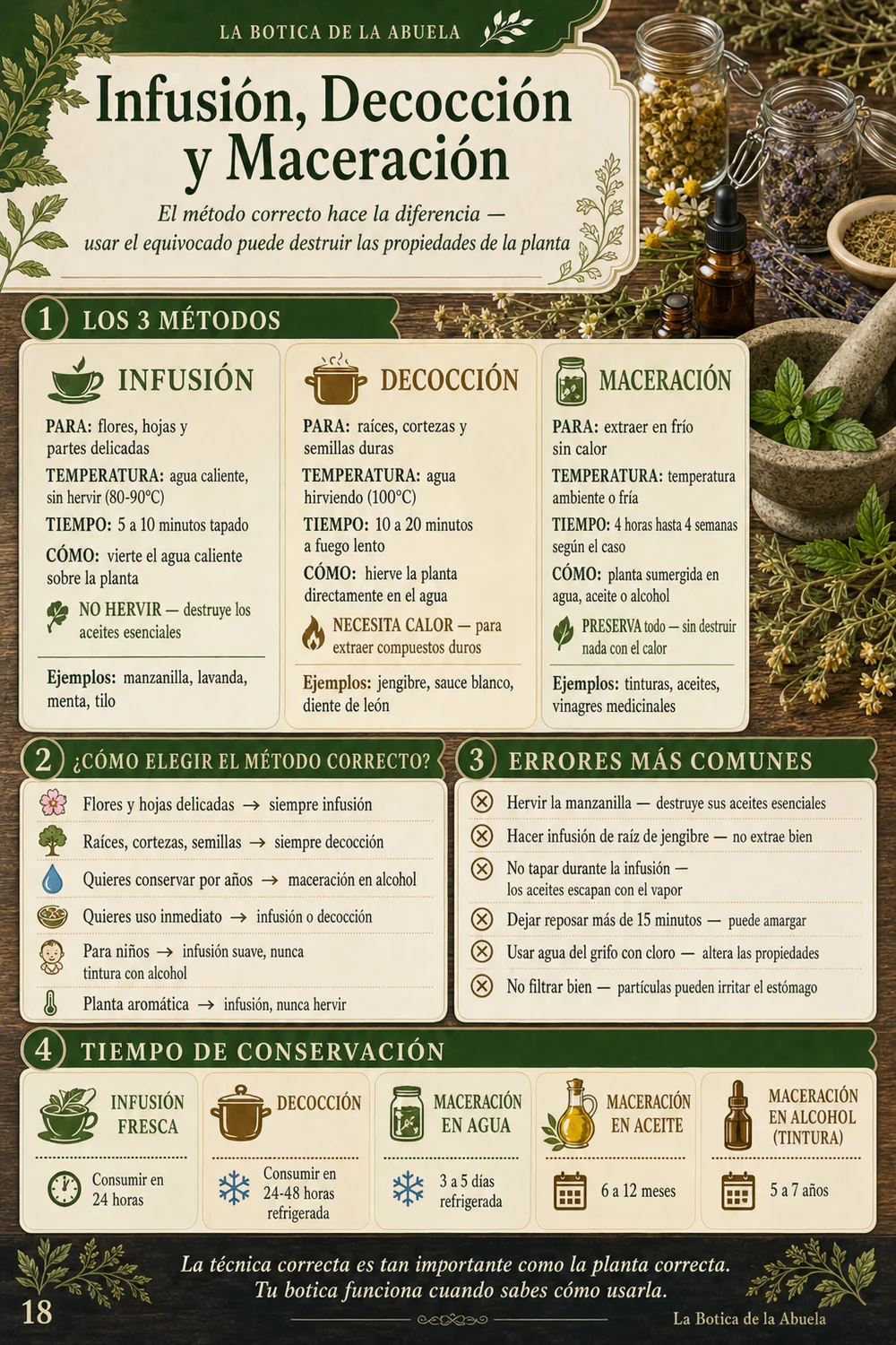 Infusión, Decocción y Maceración — los 3 métodos correctos para extraer las plantas